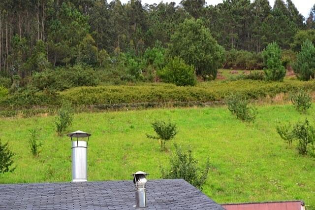 Apartamentos Rurales Casa Ron Coana Eksteriør bilde